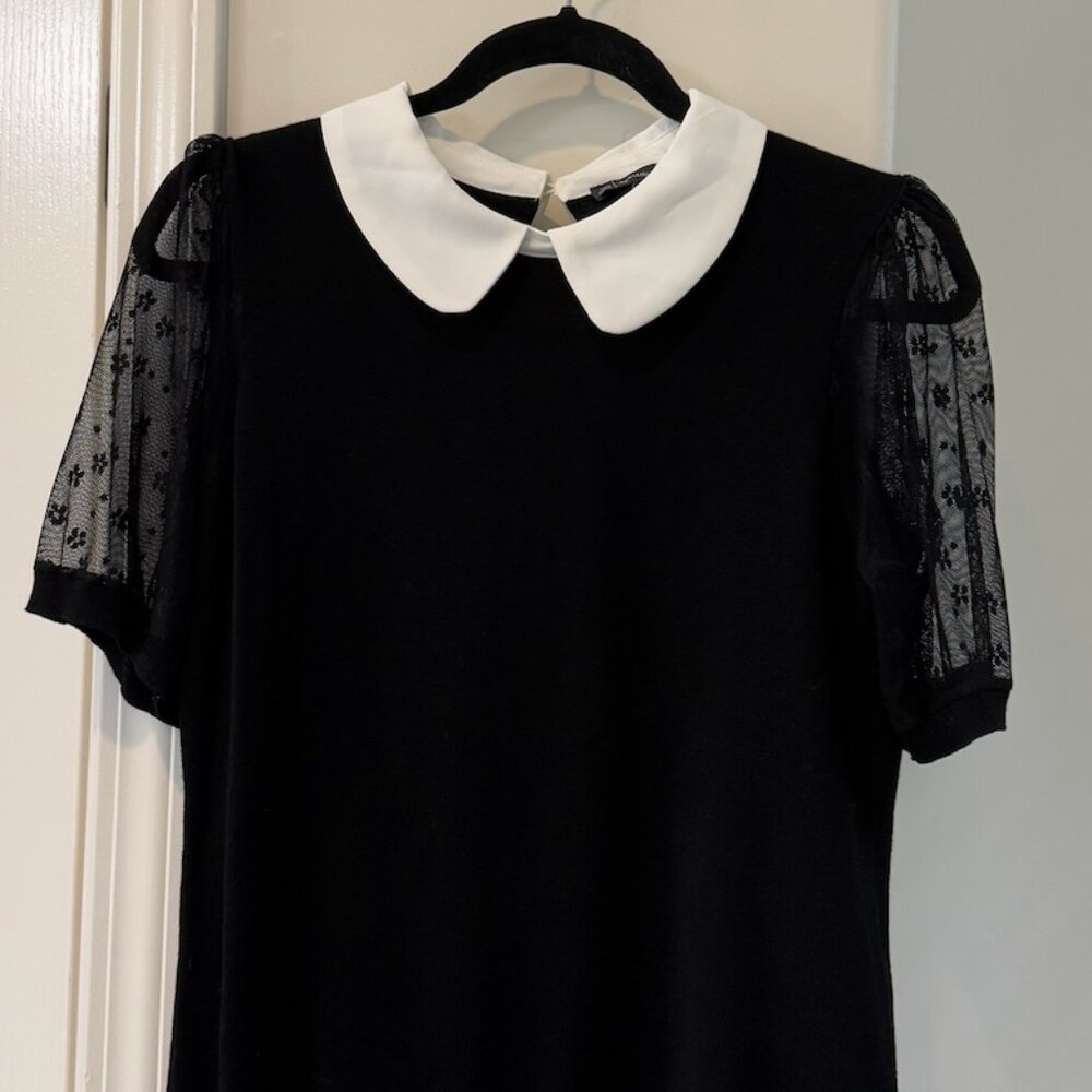 Adrianna Papell Black Blouse with White Collar and Lace Sleeves